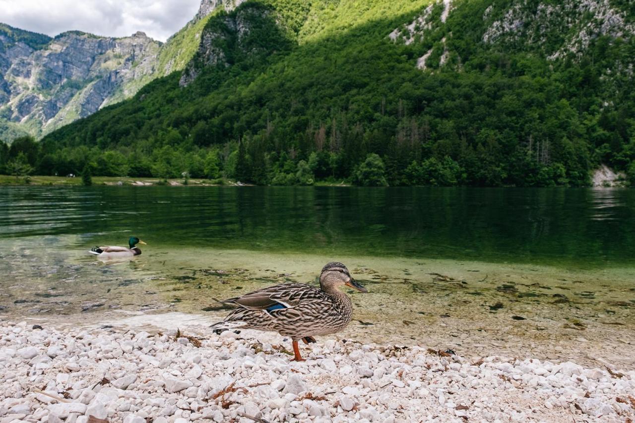 Villa Melody Bohinj Esterno foto