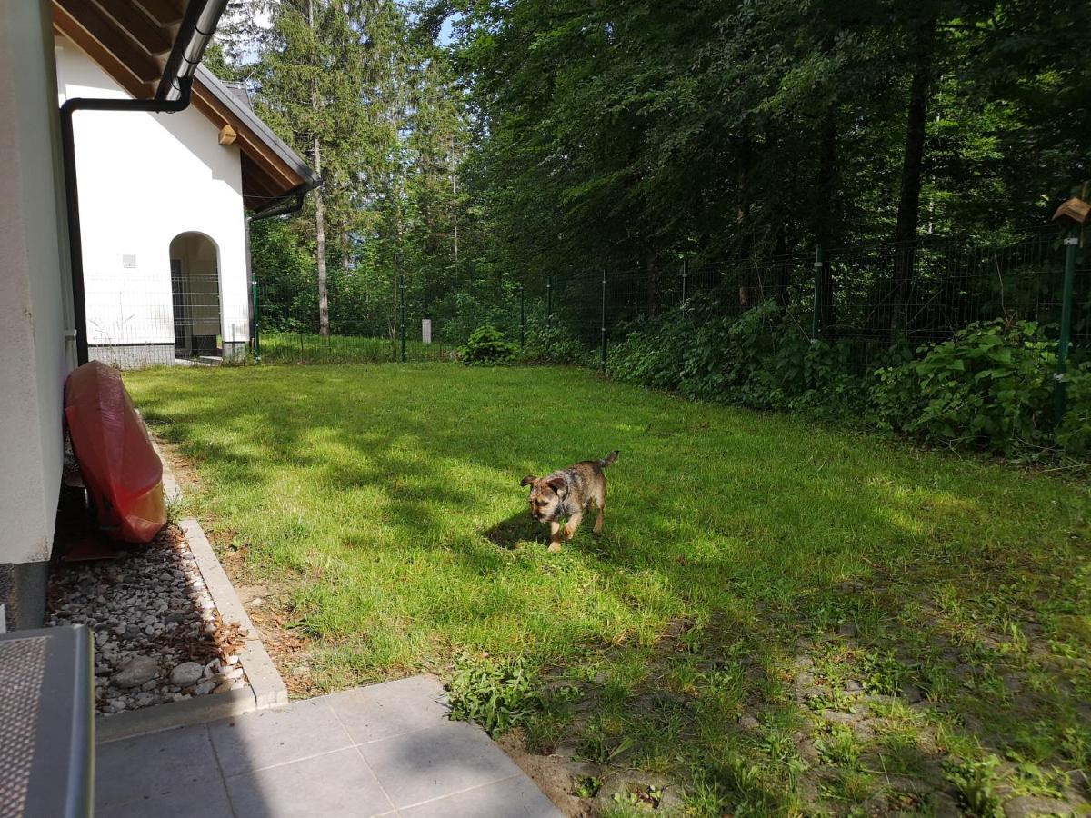 Villa Melody Bohinj Esterno foto